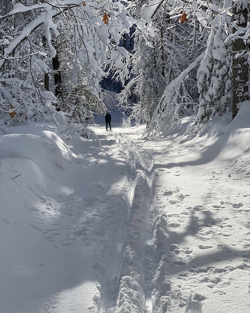 a snow-covered path with ski-tracks leading to a person